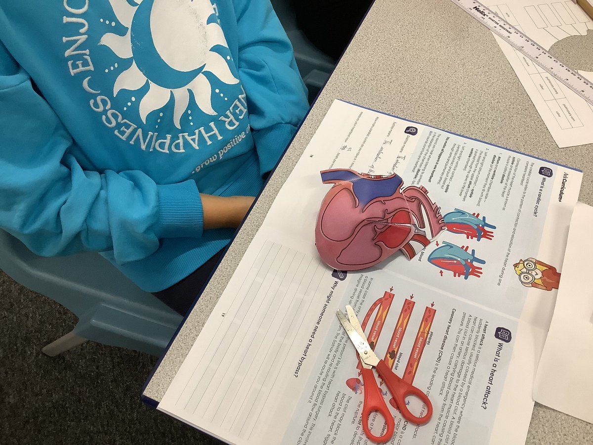 Year6StHelens's tweet photo. Y6KC learning about the parts of the heart by making 3D hearts @ScienceatStH1 https://t.co/zge7gCbKqr