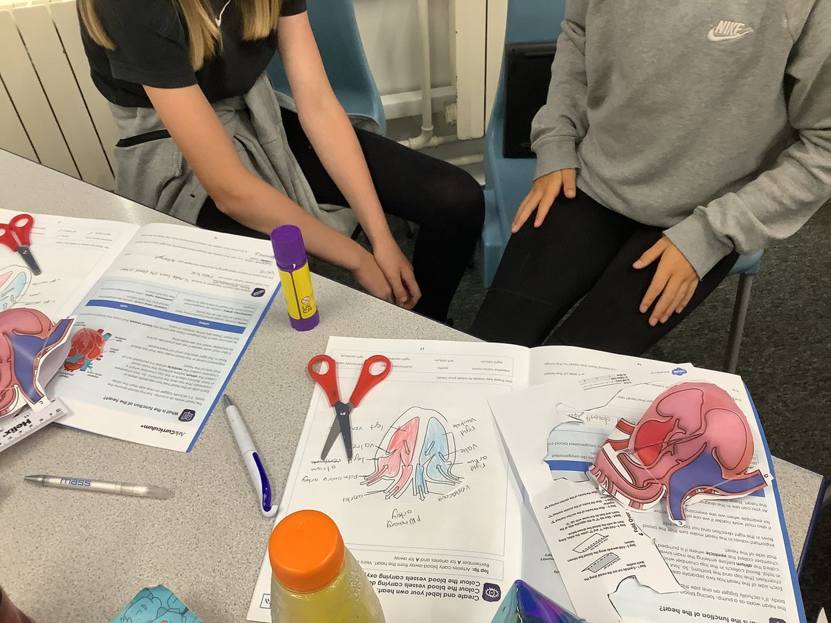 Year6StHelens's tweet photo. Y6KC learning about the parts of the heart by making 3D hearts @ScienceatStH1 https://t.co/zge7gCbKqr