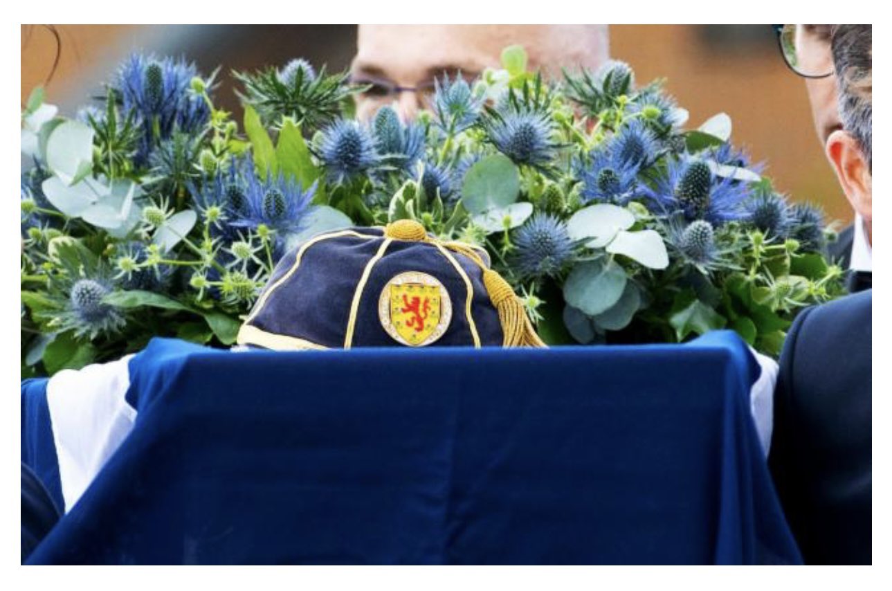 HAYLEY MCQUEEN on Twitter "It’s been the most emotionally draining 2