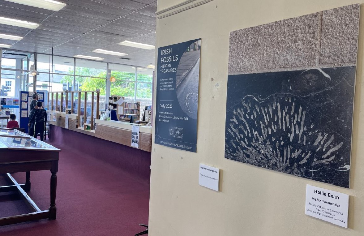 Busy preparing for the launch of Irish Fossils - Hidden Treasures, a showcase of the winners of the National Fossil Photo Contest 2023. It will be on display @CorkAirport & @corkcitylibrary Grande Parade & Mayfield in July. Check it out & let us know which ones are your favorites