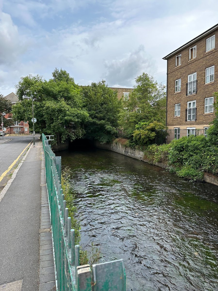 Hillbrook Primary School (@hillbrooksw17) on Twitter photo Year 2 have been exploring the Wandle River as part of their Journey to the Sea topic. We had a great time with Robyn from <a href="/SE_Rivers_Trust/">South East Rivers Trust</a> who delivered a river assembly for us before taking us on an interactive river walk! 🏞️ 🚶 Year 2 have been exploring the Wandle River as part of their Journey to the Sea topic. We had a great time with Robyn from <a href="/SE_Rivers_Trust/">South East Rivers Trust</a> who delivered a river assembly for us before taking us on an interactive river walk! 🏞️ 🚶