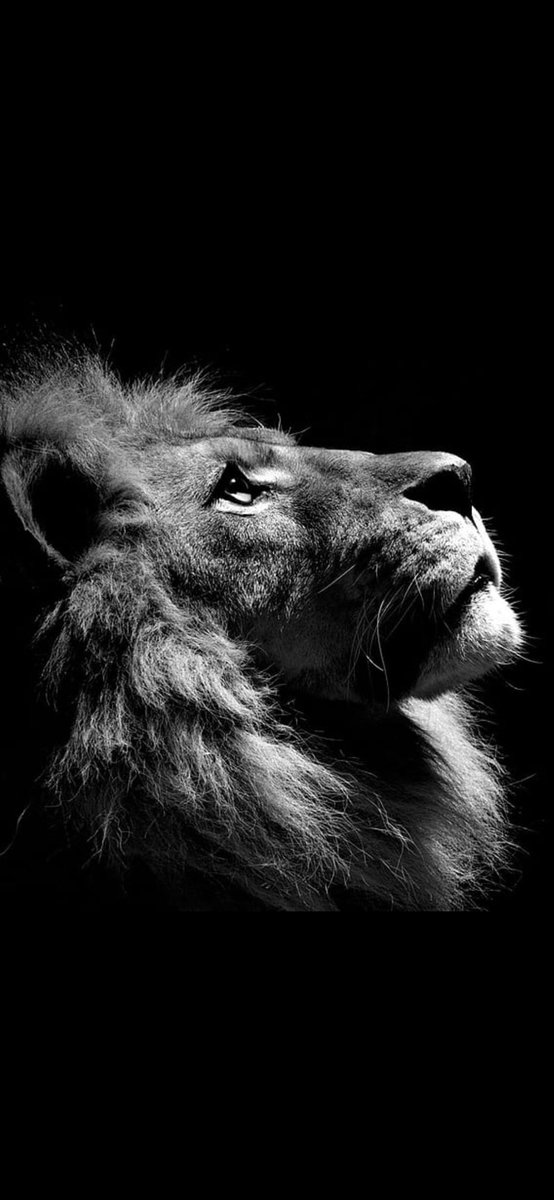 All Lions out there, we will take any and all prayers today for the DeVries family.! Their family needs us to today, let the power of prayer work for them! 
Team E 💙🖤💛