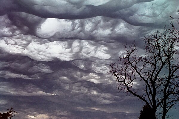 Görselde görmüş olduğunuz bulutun adı ? A) Cumulus Congestus cloud B) Mammatus cloud C) Shelf cloud D) Asperatus cloud 13:50'ye kadar doğru cevap veren herkese RT