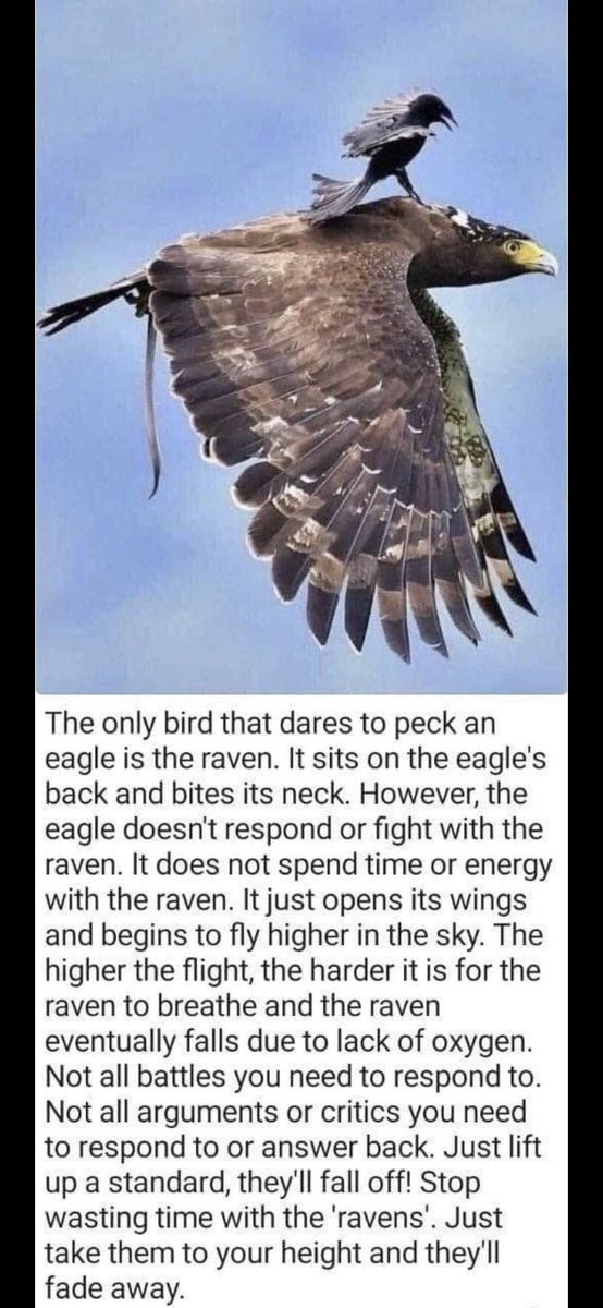 Agustus Stewart tweet media