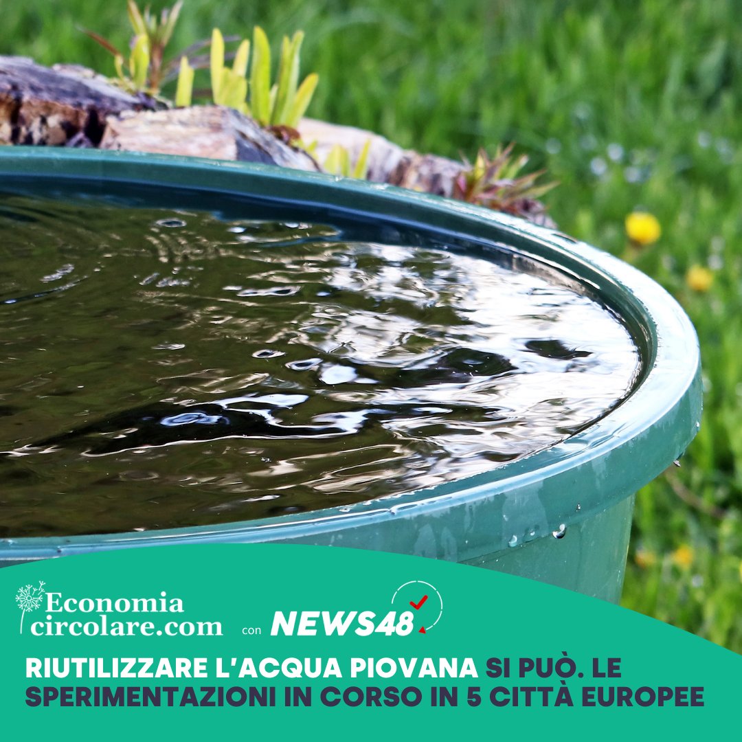 EconomiaCircolare.com (@ecocircolarecom) on Twitter photo 🌧️La raccolta e #riutilizzo di #acqua piovana può ridurre le perdite e ottimizzare i consumi. Riproponiamo le soluzioni del progetto <a href="/CirclesCity/">City Water Circles</a>, in collaborazione con News48.it e <a href="/ConstructiveNet/">Constructive Network</a>.
economiacircolare.com/riutilizzo-acq… 🌧️La raccolta e #riutilizzo di #acqua piovana può ridurre le perdite e ottimizzare i consumi. Riproponiamo le soluzioni del progetto <a href="/CirclesCity/">City Water Circles</a>, in collaborazione con News48.it e <a href="/ConstructiveNet/">Constructive Network</a>.
economiacircolare.com/riutilizzo-acq…