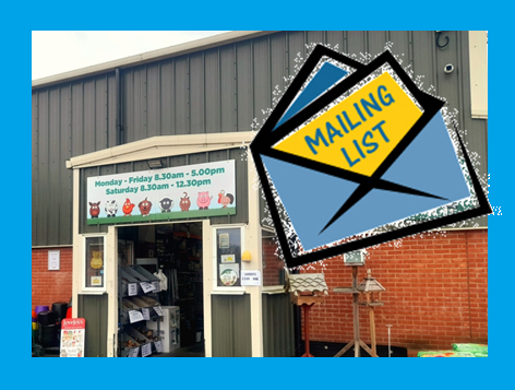 GaryGjl's tweet photo. We are really excited to be launching our monthly email on the 1st July,  join our community and keep up with our offers, discounts, giveaways and updates. 

Click the link below, thank you for supporting our local business.
https://t.co/1xPF4fOSYz https://t.co/v5Q8vkjmiz