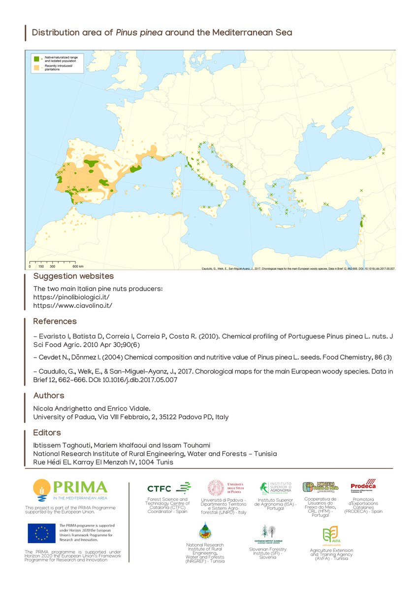 Did you know #PineNuts can help reduce appetite and promote healthy behaviour? 

They have excellent dietetic values with high content in proteins and minerals but a low level of content in saturated fatty acids!

More information about this extraordinary nut👇🏼