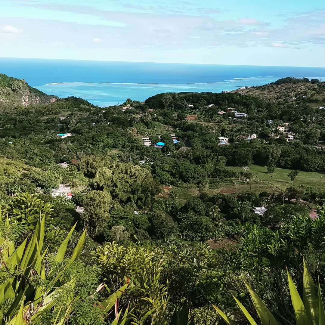 #rodrigues morceaux choisis 🐠🐟🐚🐙♥️