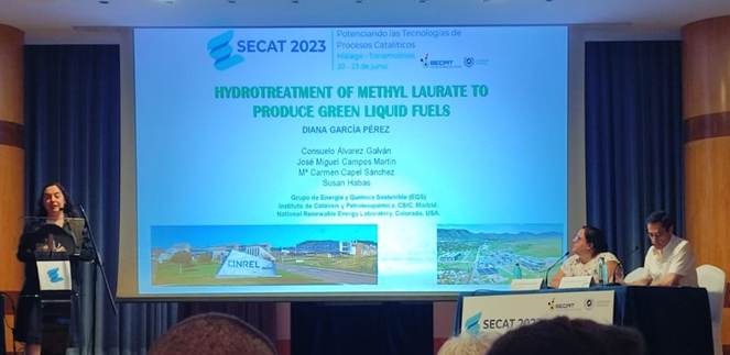 📢Investigadores de la <a href="/PTI_TRANSENER/">PTI+ TRANSENER</a> <a href="/ICP_CSIC/">Instituto de Catálisis y Petroleoquímica (CSIC)</a> participan en el congreso de la Sociedad Española de Catálisis (<a href="/Secat2023/">Secat 2023</a>) presentando los últimos avances y resultados obtenidos en el proyecto #Biorefina.
#congreso #secat23 #catalisis #icp