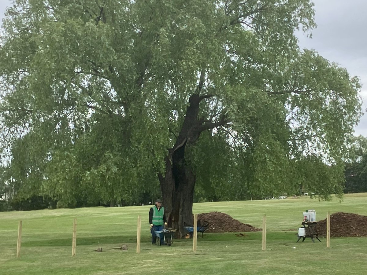 Lambeth TCV tweet media