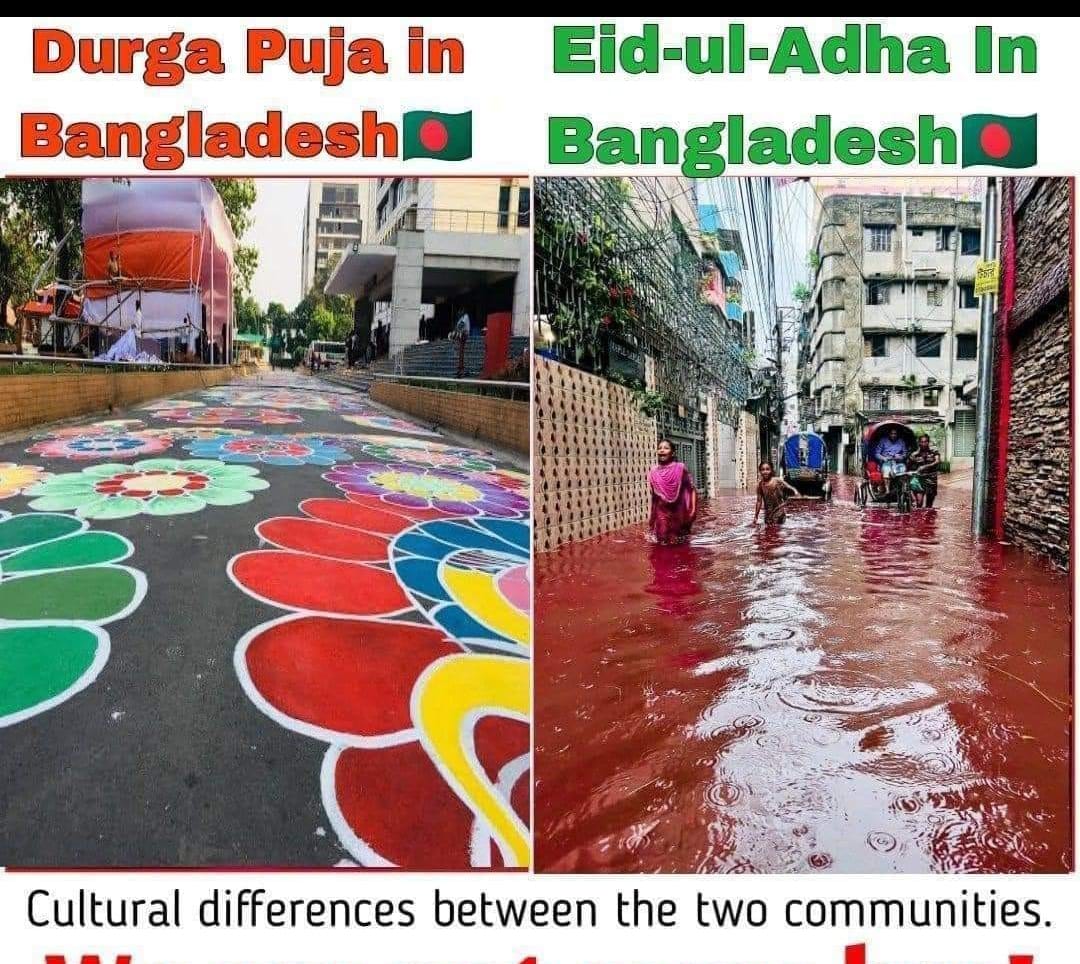 RajatSalga99372's tweet image. 🤐

#culturaldifference #EidAlAdha #durgapuja #community