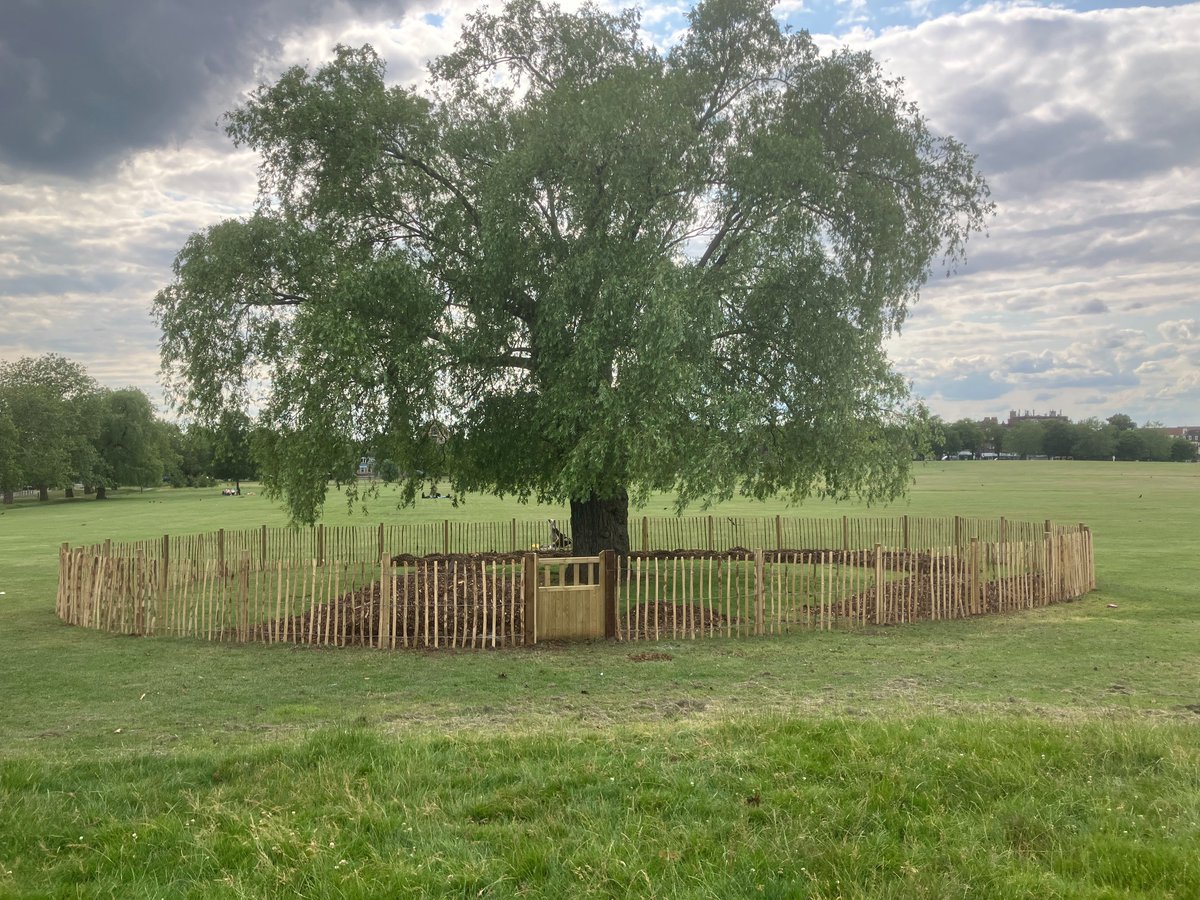 Lambeth TCV tweet media