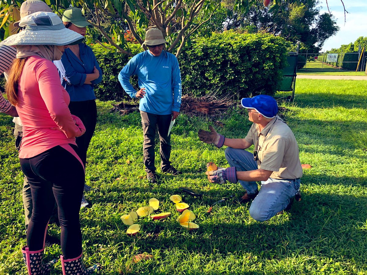 Tropical Plant Clinic & Research Lab tweet media