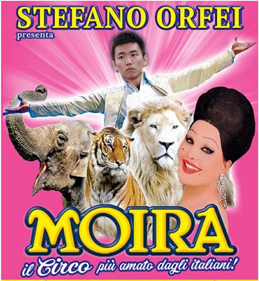 Siamo alle comiche ormai 😂😂😂😂 Brozo che chiede buonuscita sapendo che sono rimasti 5 euro