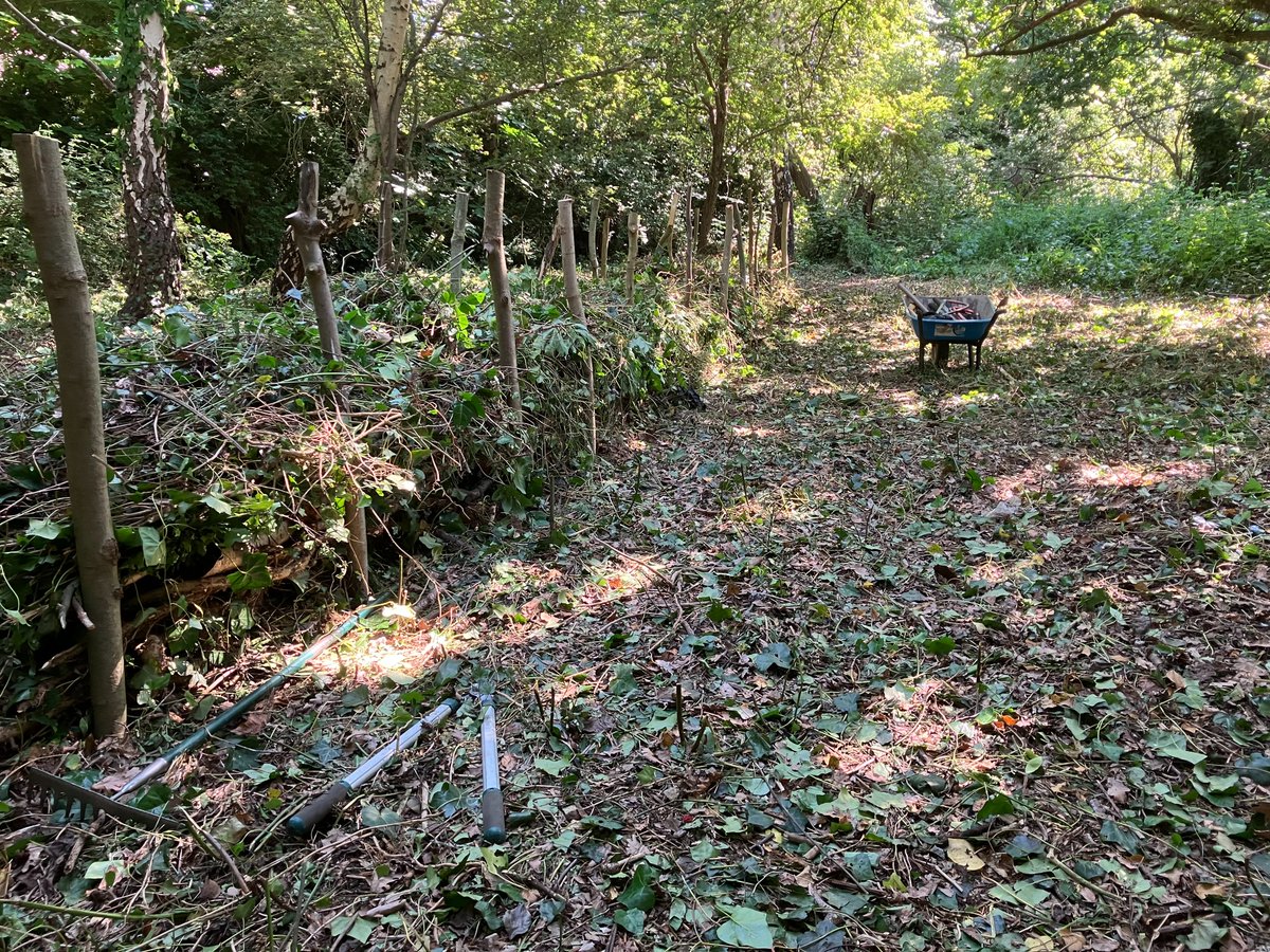 Lambeth TCV tweet media