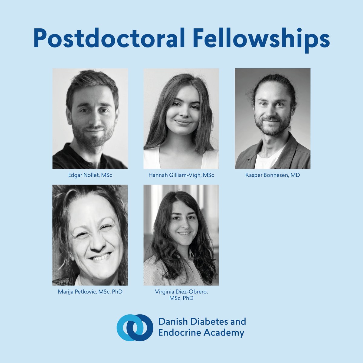 Danish Diabetes and Endocrine Academy tweet media