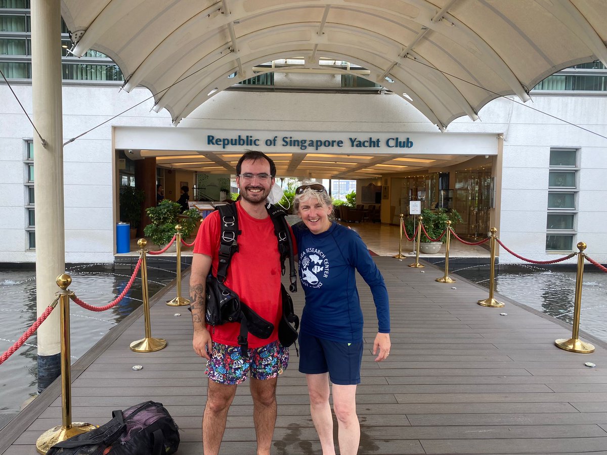 Stefano Borghi tweet media