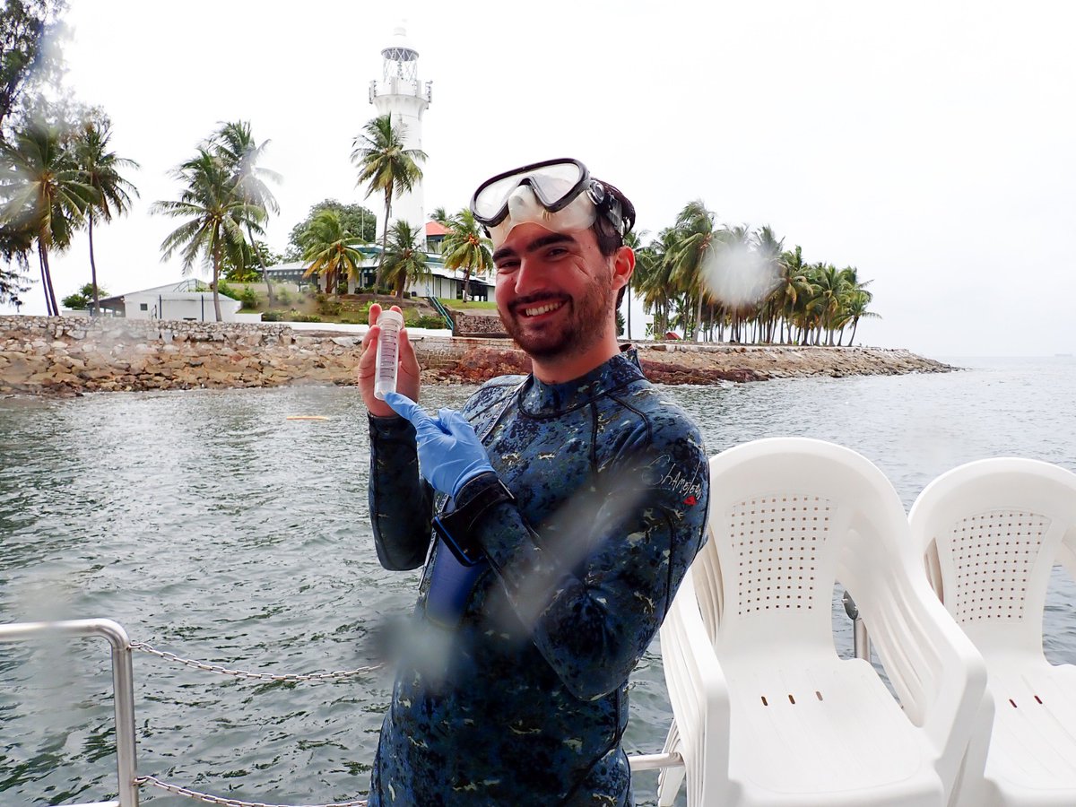 Stefano Borghi tweet media