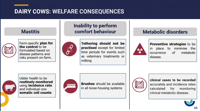 eurcaw_re's tweet photo. Mastitis, comfort behaviour &amp; metabolic disorders are 3 of the 5 welfare consequences presented by @YvesVdStede @Animals_EFSA. 

Brushes important for enrichment &amp; #PositiveWelfare more research needed to identify the number &amp; location of brushes. 
2/2 https://t.co/MBrYBoKFwX
