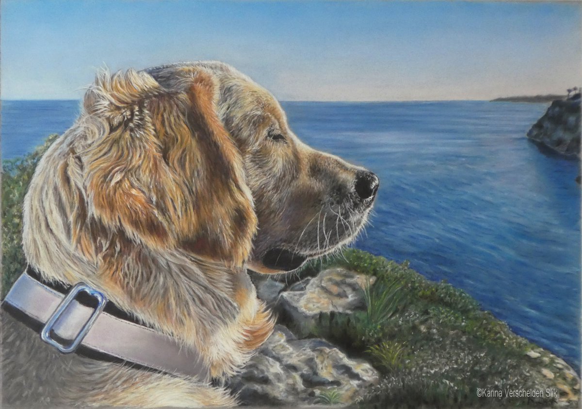 Jessie. A commission from 2 years ago. Pastelpencils and crayons. She wanted the drawing with the background wich is a favorite spot of her husband at Mallorca. #dogdrawing #petpainting #petart #petportrait #dogportrait #sea #mallorca #artwork #artlovers