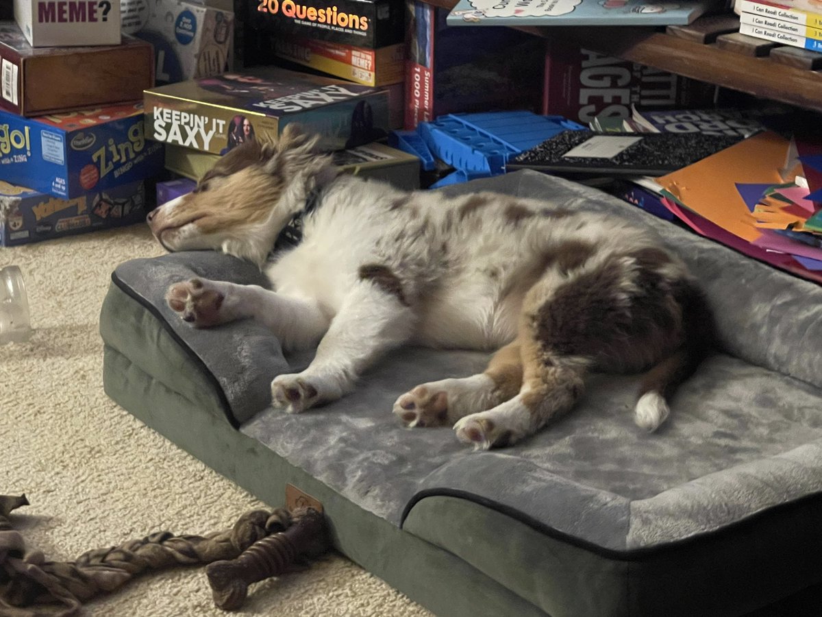 Looks like my little guy