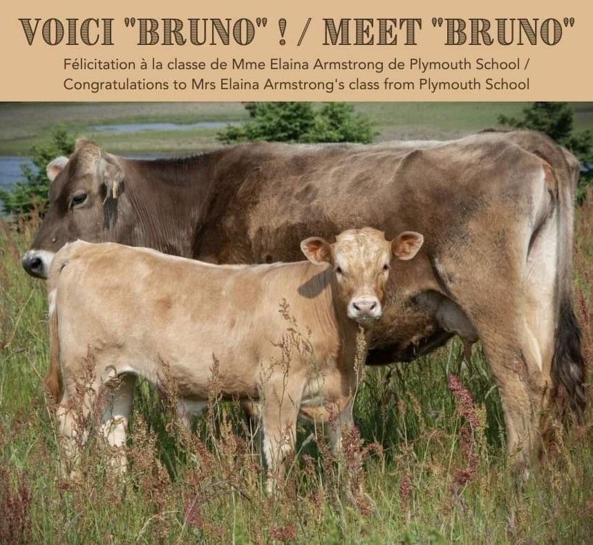 villageacadien (@villageacadien) on Twitter photo 