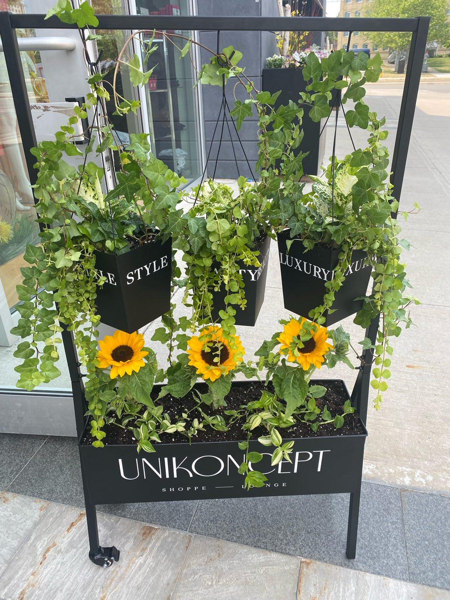 WestmountSigns's tweet image. Happy Thursday all! #throwback Last month we installed white cut vinyl onto hanging planter boxes for @UniKoncept, creating a unique sidewalk sign to fit their style. 🤍
.
.
.
#vinylgraphics #cutvinyl #LifestyleShop #kwawesome #WRawesome #ThrowbackThursday