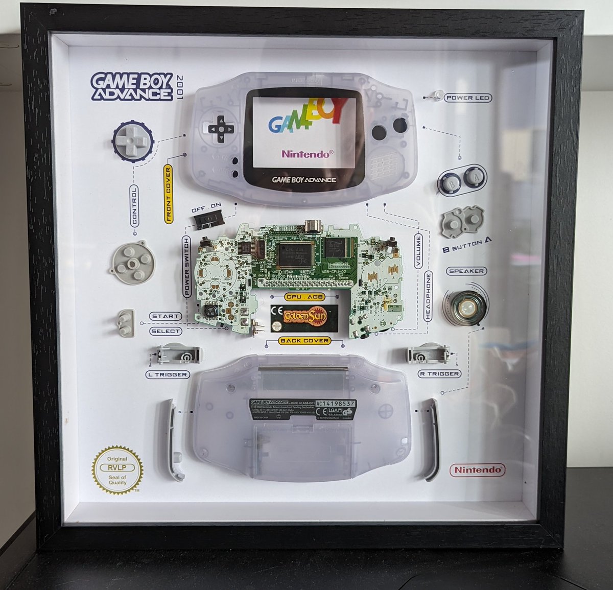 Pascal Mugen tweet media