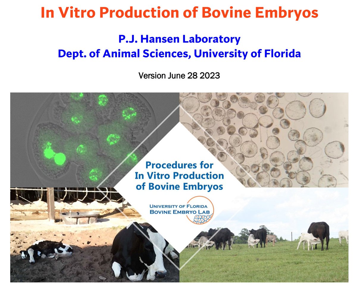 The new version of our protocol for production of bovine embryos in vitro has been put online. There is lots of new information in there. Go to tinyurl.com/2846chsh  #reprorocks #embryotransfer