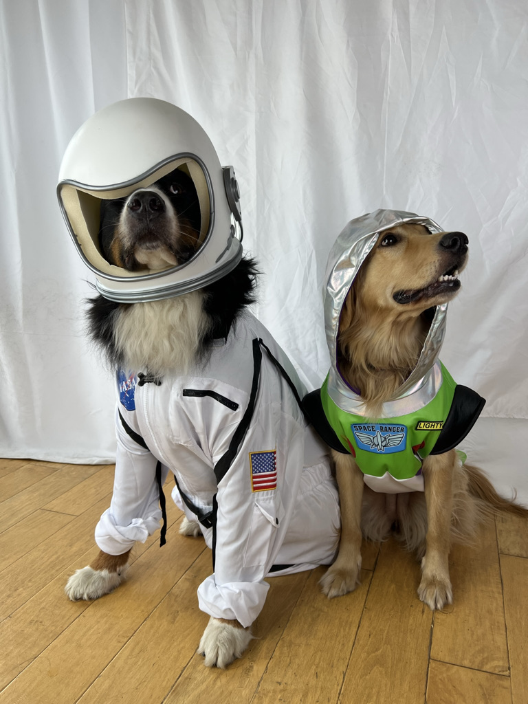 Bunsen and BEAKER on Twitter "BREAKING NEWS WE CHECKED AND DOGS ARE