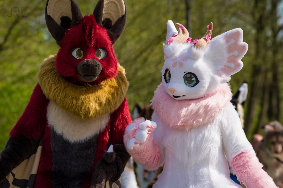 "A tale of bat and dragon" feat. @DecylBat 
Happy #FursuitFriday everyone!

Both cuties made by <a href="/SchneeCreations/">SchneepardiCreations 🔜 EF</a> 
📸by <a href="/RemusFur/">Remus</a>