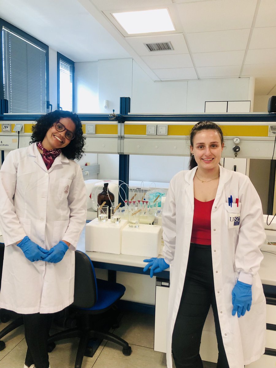 Andressa Reis tweet media