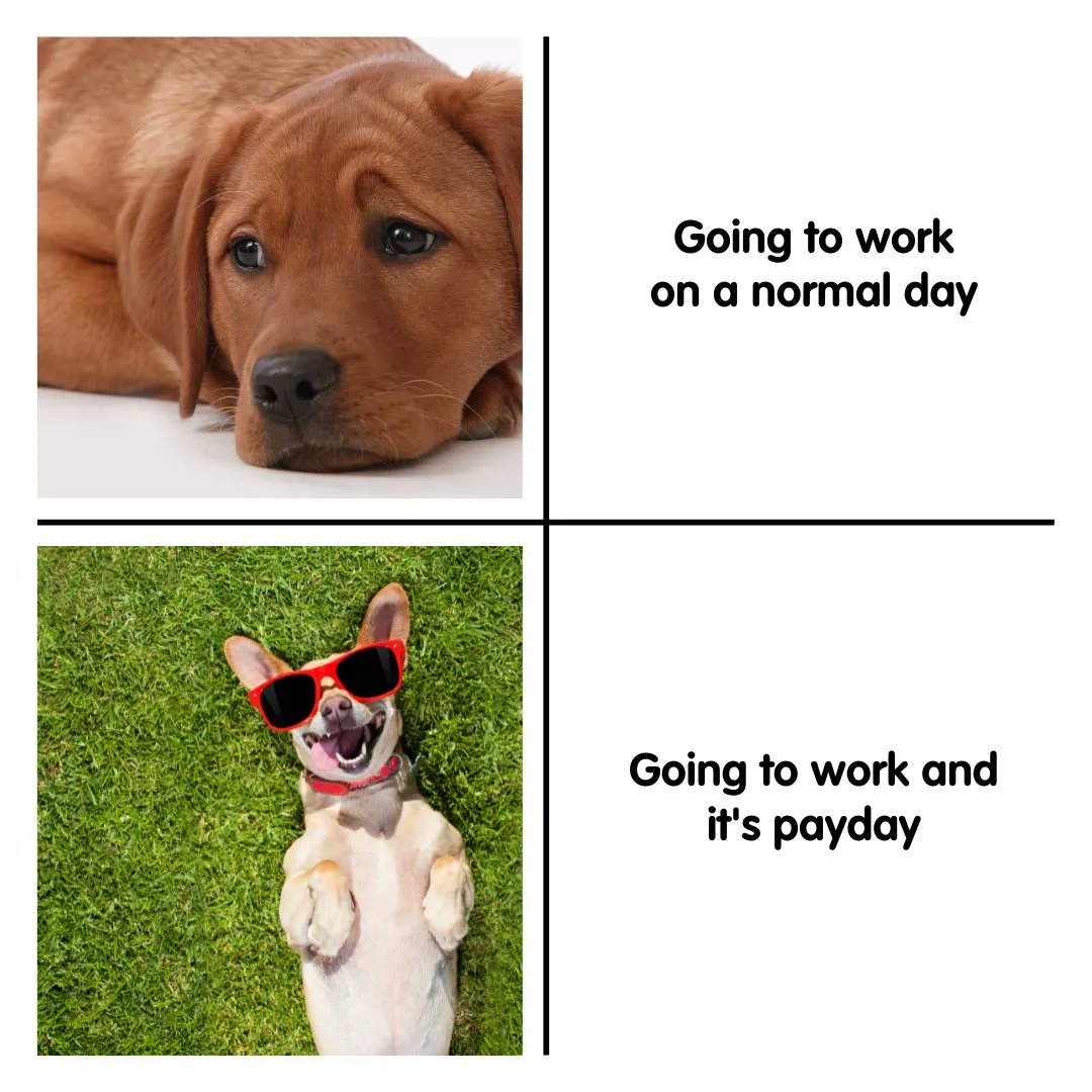 Frozzys for Dogs tweet media