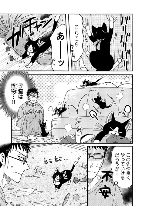 でっかいねこまたが、ちっちゃかった頃のお話🐱🍼(4/4) 