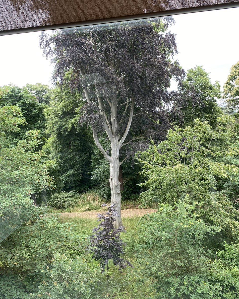 Fuelled up and a pretty view? 
All ready for my turn to present at the #ICI2023 day 3! 

<a href="/inclusiclassics/">Inclusive Classics Initiative</a>