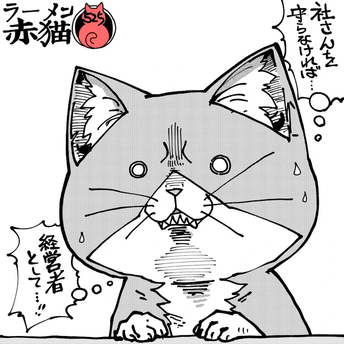威圧は不安の裏返し
#ラーメン赤猫 #ジャンププラス
64話 https://t.co/lzsYSUIadX 