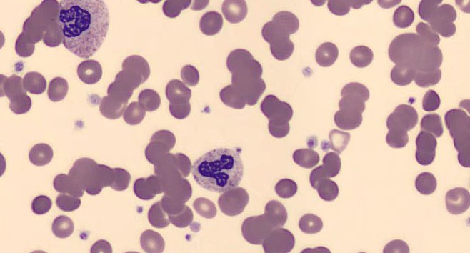 Robert Brodsky tweet media