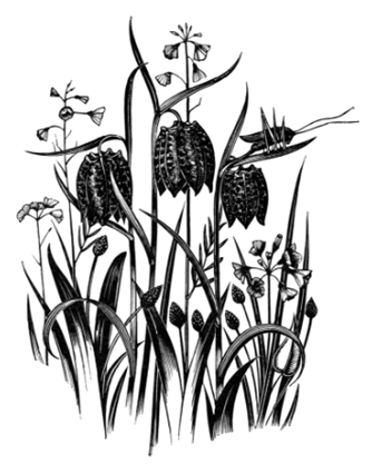 💐 Have you signed up for our Liverpool get-together in September?   

🥀A chance to talk and work with teachers of struggle, tacticians of labour, organisers of the long game.

ellabakerorganising.org.uk/new-organising…