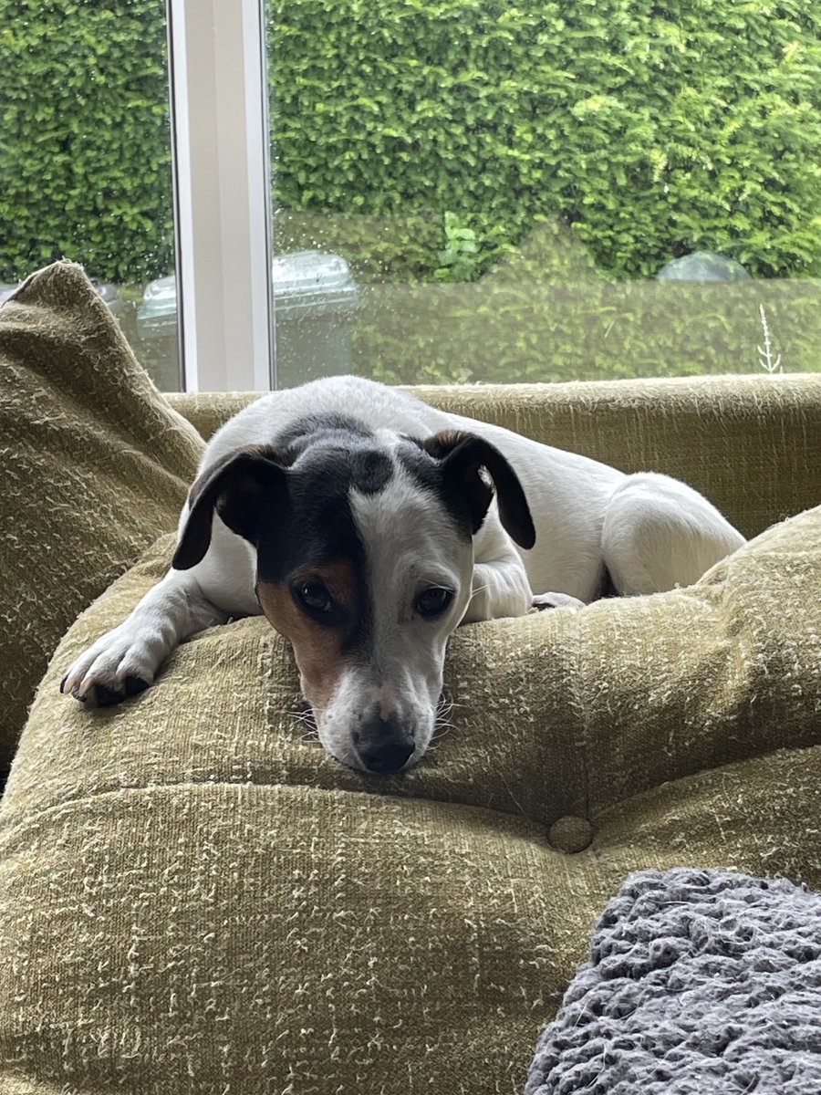 TimRumney's tweet image. Sorry Teddy - you’re not allowed to come to my birthday lunch