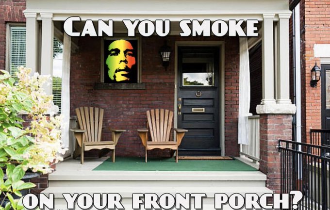 Canna Buzz Report tweet media