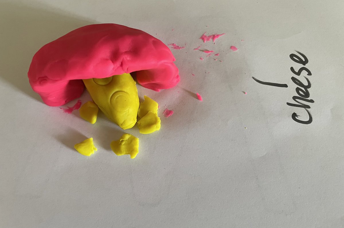 Miss Bird tweet media