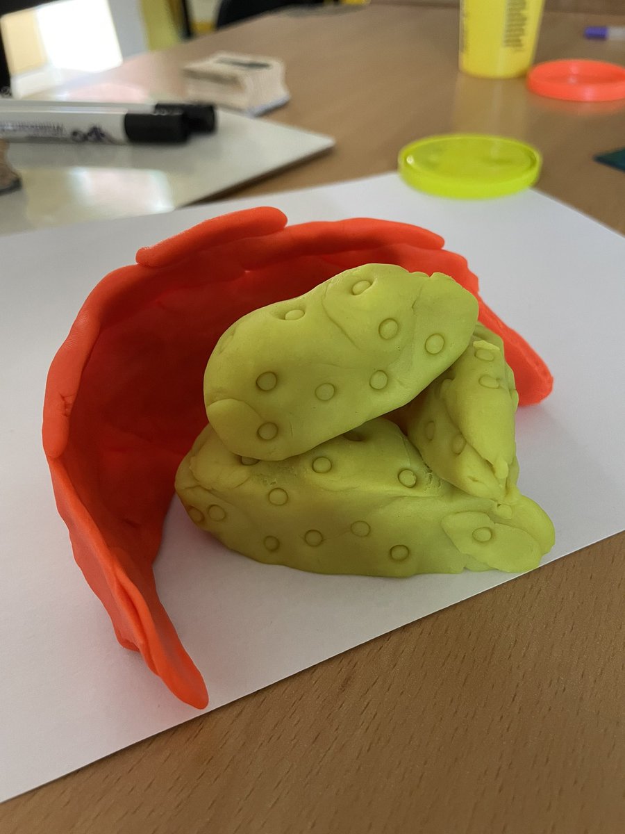 Can you guess which iconic Somerset location 7R were modelling today? #BeProud #TKASA