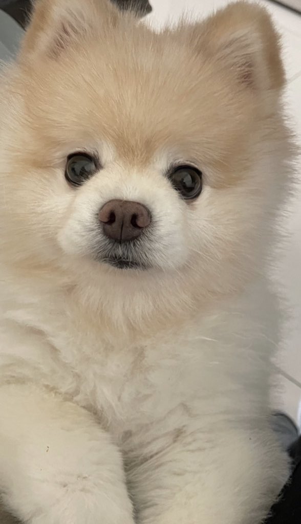 Mia (@mia27740474) on Twitter photo 