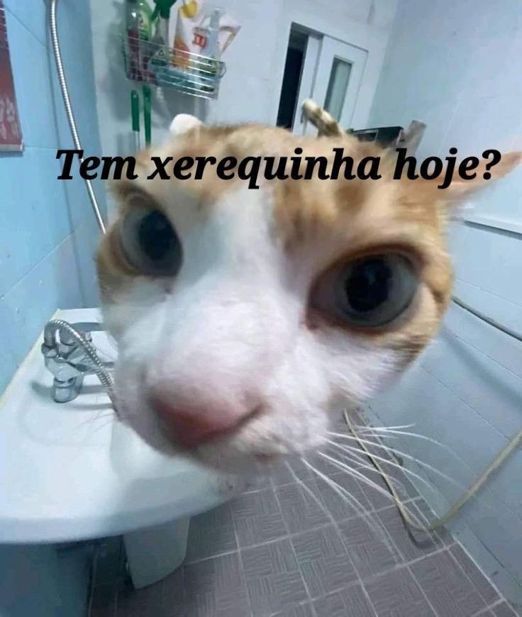 bom dia amigos