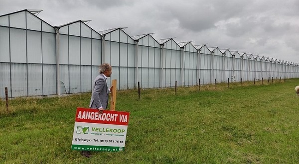 Glastuinbouw flexibel: vastgoedmarkt 'levendig' met 'goede prijzen' groentennieuws.nl/article/954203…