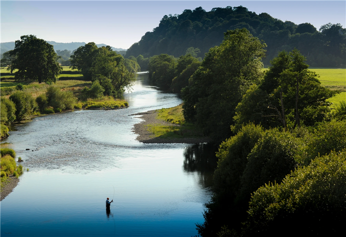 FishPal's tweet photo. Looking to fish for salmon and #seatrout in one of the most stunning places in the UK? 🎣

Overlooked by stunning castle ruins and amidst an abundance of wildlife, Golden Grove on the Towy should be on your bucket-list! 🏴󠁧󠁢󠁷󠁬󠁳󠁿🙌

Book your trip via #FishPal👇
https://t.co/oG2emovdgQ https://t.co/0w8L54PqRb