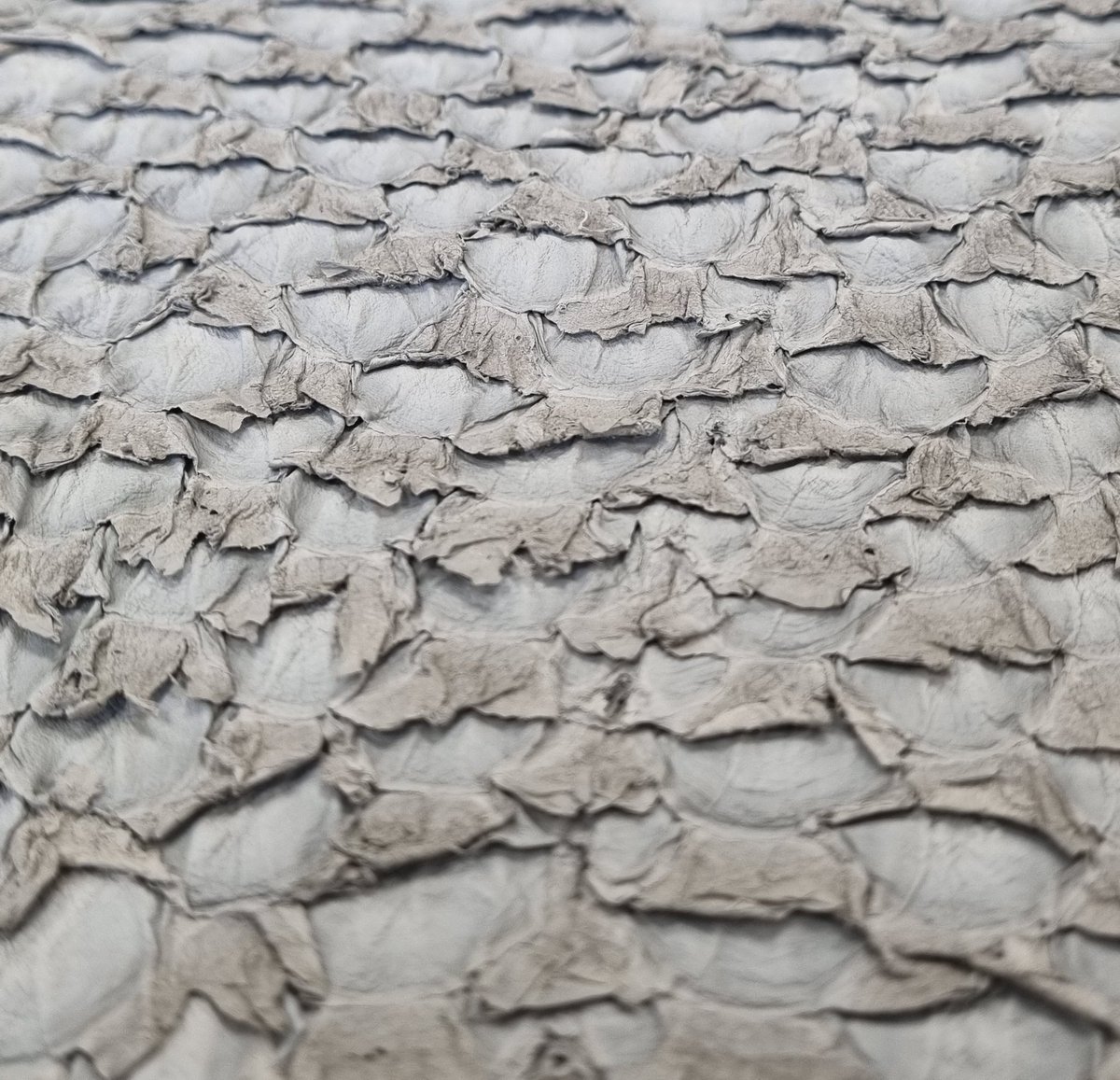 ICLT - Institute for Creative Leather Technologies (@icltleather) on Twitter photo Something fishy? This is the runner-up in the <a href="/UniNorthants/">UniofNorthampton</a> Images of Research Competition. The photo is of Nile Perch leather produced using waste fish skins by William Lohay, MSc Leather Technology graduate. Supervised by Dr Ballantyne and Dr Lama. <a href="/FASTresearchUON/">The Faculty of Arts, Science and Technology</a> <a href="/FashionUoN/">Fashion UniNorthants</a> Something fishy? This is the runner-up in the <a href="/UniNorthants/">UniofNorthampton</a> Images of Research Competition. The photo is of Nile Perch leather produced using waste fish skins by William Lohay, MSc Leather Technology graduate. Supervised by Dr Ballantyne and Dr Lama. <a href="/FASTresearchUON/">The Faculty of Arts, Science and Technology</a> <a href="/FashionUoN/">Fashion UniNorthants</a>