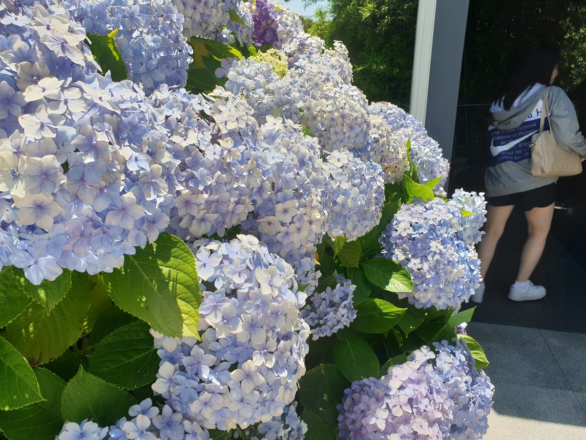 Dobby5240's tweet image. #넥슨컴퓨터박물관 #메이플스토리 #HelloREALWorld 
추억 돋고 재밌었슴다^^7