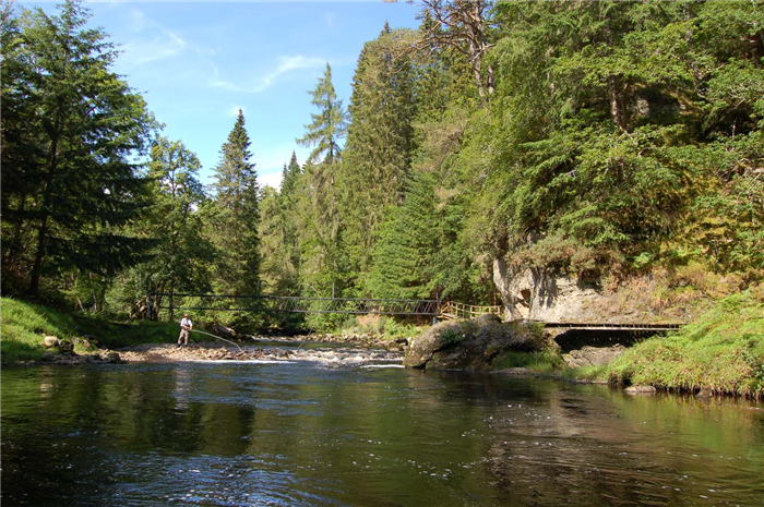 FishPal's tweet photo. Have you heard of the beautiful small #spateriver, the River Alness?

The Alness has good runs of both #salmon and #grilse and typically produces annual rod catches of 300-400, of which about two thirds are caught on the #Novar waters.  👇
https://t.co/t5NiiOQyxm

#FishPal https://t.co/SlWJpRDDzo