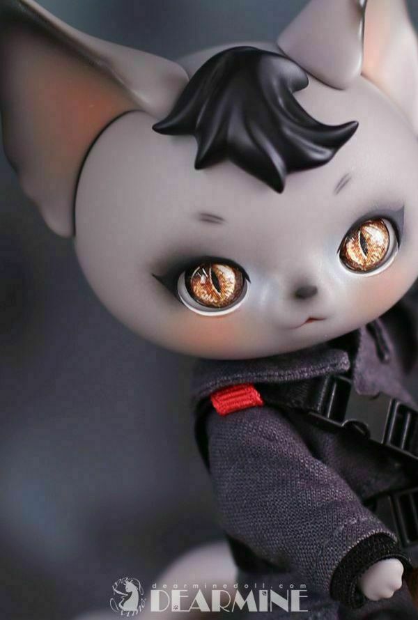 Dear Mine PICASSO ピカソ カナリアスキン 株式会社ボーダレスより